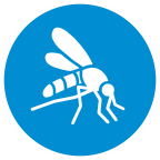 Mosquito_blue2