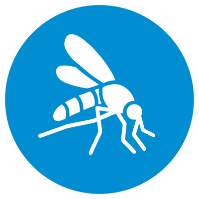 Mosquito_blue2