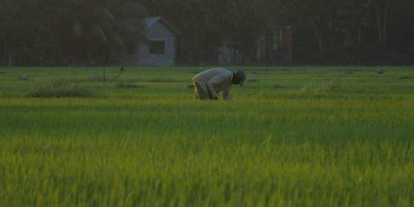 benjamin-le-roux-xErxhy1rnZ0-unsplash benjamin-le-roux-xErxhy1rnZ0-unsplash