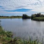 natural-dels-aiguamolls-de-lemporda-catalonia-spain_665346-42291