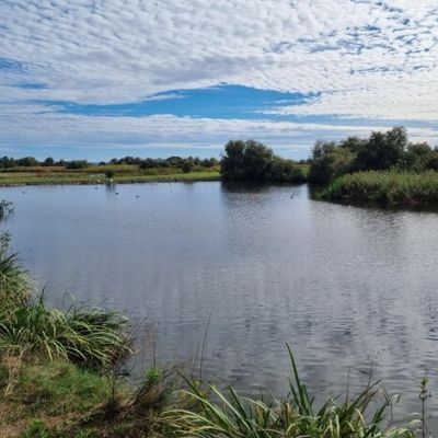 natural-dels-aiguamolls-de-lemporda-catalonia-spain_665346-42291