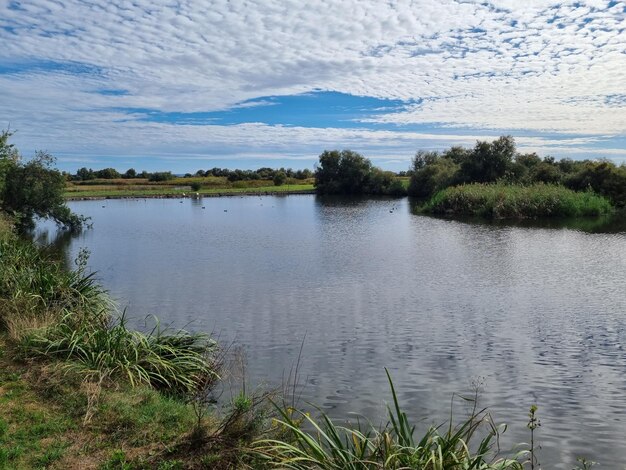 natural-dels-aiguamolls-de-lemporda-catalonia-spain_665346-42291