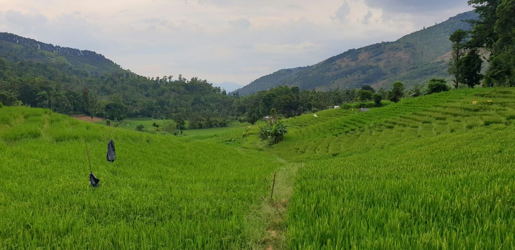 manoj-dharmarathne-WBPDDzt4_7E-unsplash