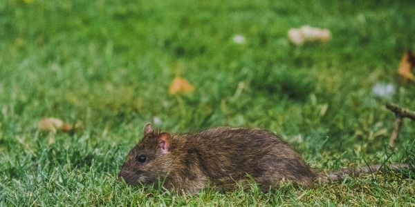 pauline-bernfeld-MmiXDsdw_NM-unsplash (1) pauline-bernfeld-MmiXDsdw_NM-unsplash (1)